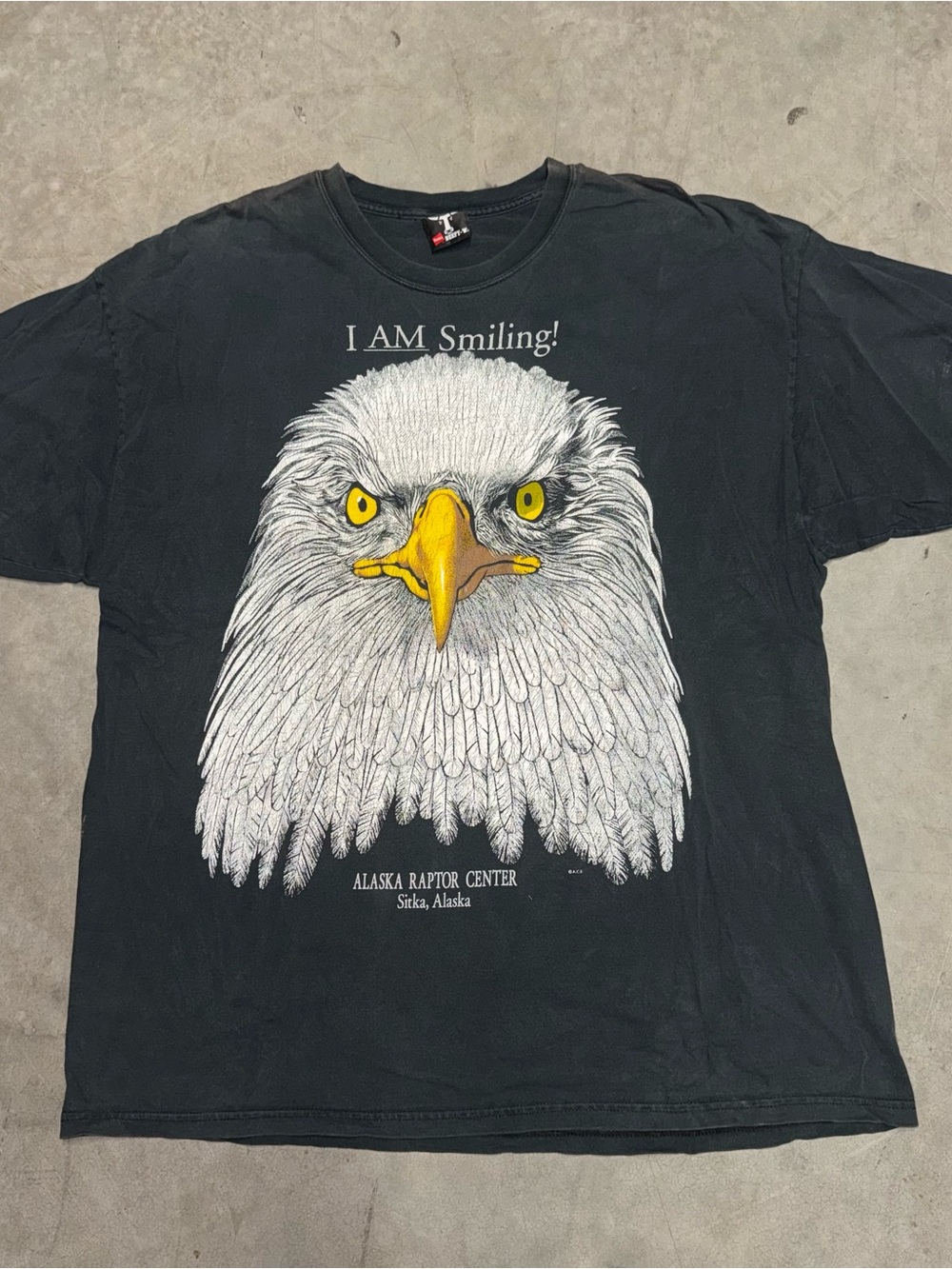 Vintage Eagle Alaska Raptor Center Crazy Black Shirt Size 2XL